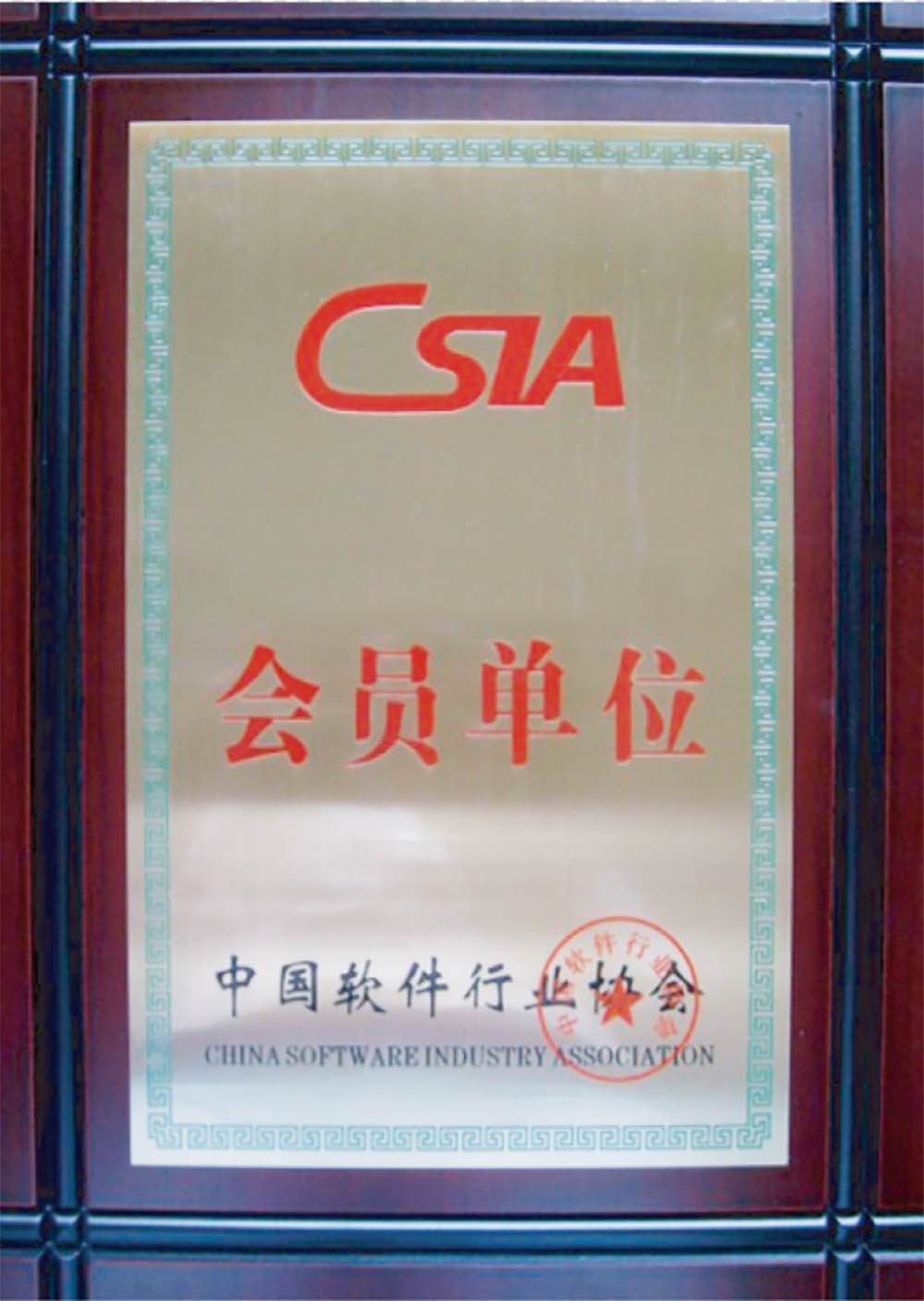 中國軟件行業協會會員單位